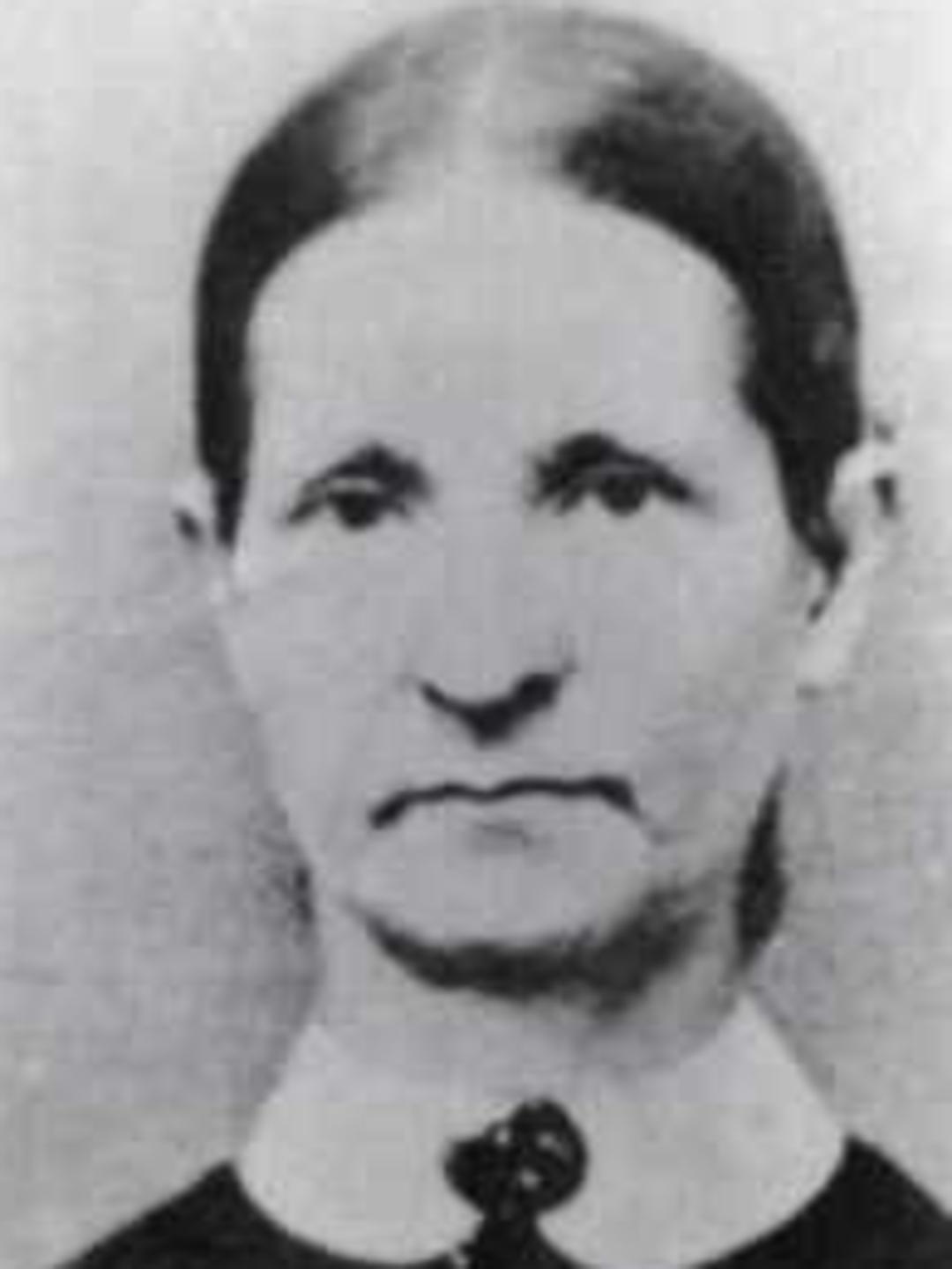 Ann Eliza Logan (1822 - 1878) Profile